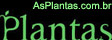 plantas